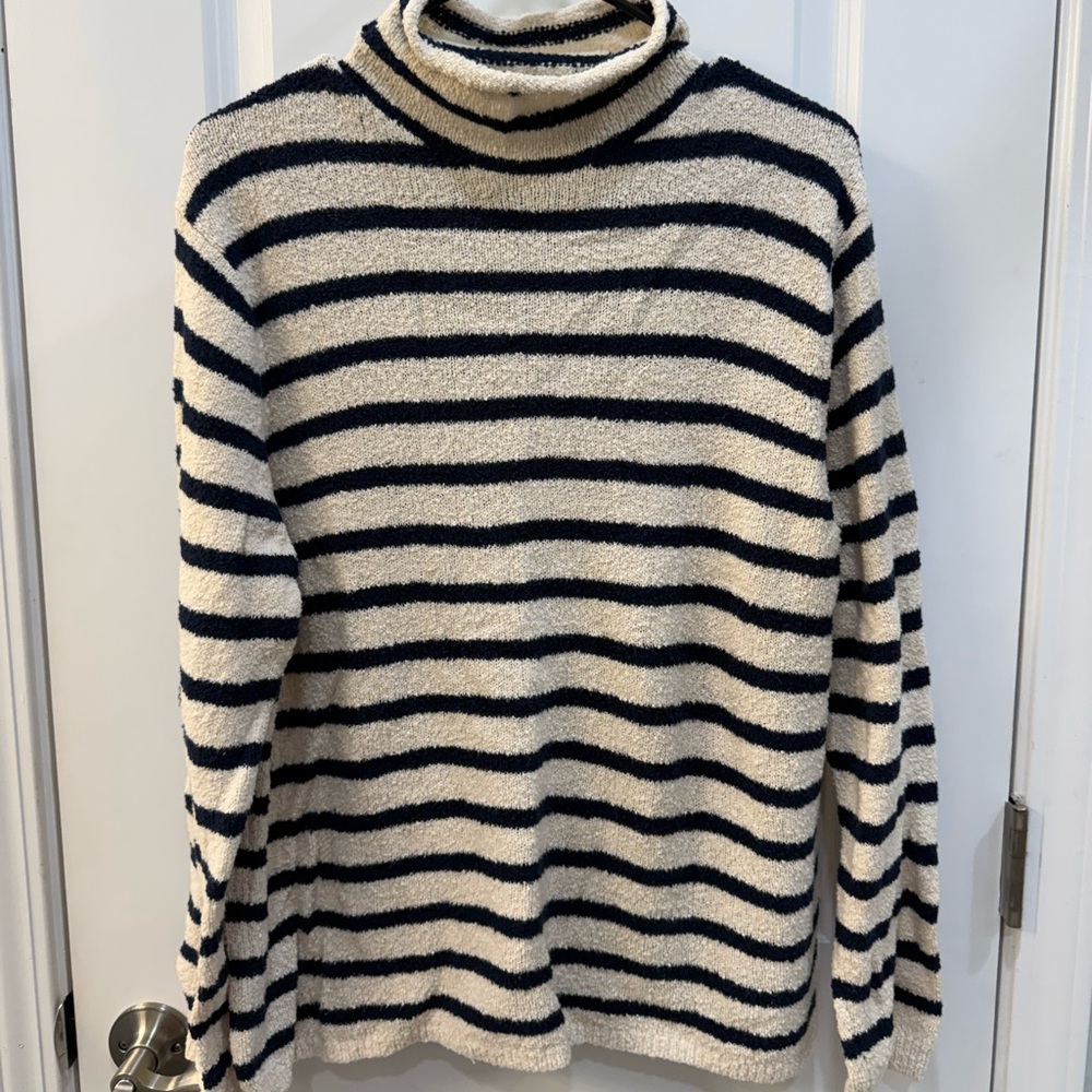 J Crew Cozy Rollneck Sweater
